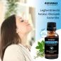   Vivamax PerfectAir, légfertőtlenítő hatású illóolaj keverék, 10 ml