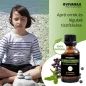   Vivamax EasyBreathe Kids, a tisztább légutakat támogató illóolaj keverék, 10 ml