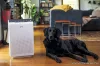 Winix Zero Légtisztító Plasmawave technológiával (GYWZ)