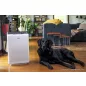 Winix Zero Légtisztító Plasmawave technológiával (GYWZ)