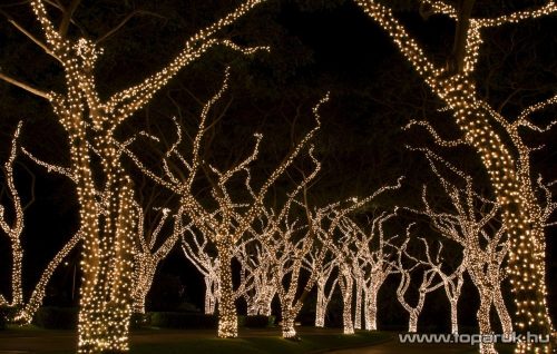 Design Dekor KDK 201 Kültéri toldható 50 LED-es jégszikrázó fényfüzér, 5 méter hosszú, meleg fehér fényű világítással, hideg fehéren csillanó LED-del