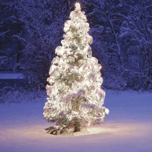 Design Dekor KDK 003 Kültéri toldható kontakt LED fényfüzér, 5 m hosszú, 50 db hidegfehér LED-del