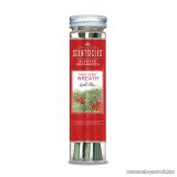   ScentSicles KSC 003 Snow Berry Wreath műfenyőre akasztható illatrúd (illatpálca), fagyöngy illattal, 6 db pálca / doboz