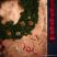 ScentSicles KSC 010 CHRISTMAS TREE műfenyőre akasztható illatrúd (illatpálca), karácsonyfa illattal, 6 db pálca / doboz