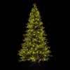 LIGHT PRINCESS 300 LED-es, meleg fehéren világító kevert tűlevelű 2D + 3D műfenyő, zöld, 210 cm (KFB 621)