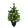 LIGHTING KID KFA 647 Világító LED-es mini asztali műfenyő időzítővel, kaspóban, kevert 2D + 3D tűlevelekkel, 60 cm