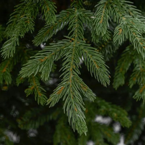 LUCFENYŐ Premium 2D + 3D extradús kevert levelű műfenyő fém talppal, 210 cm (KFB 191)