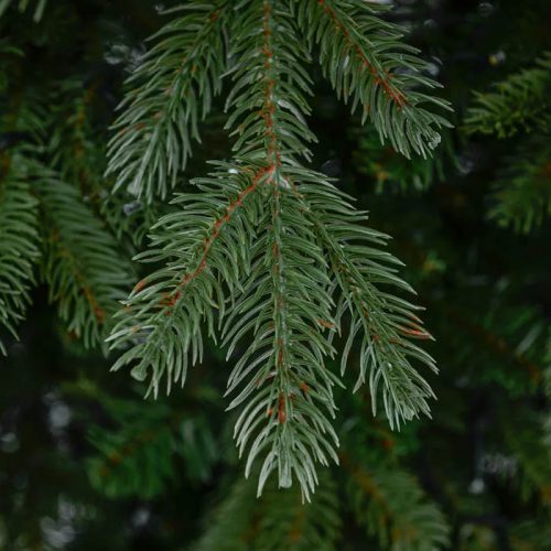 NIGHTLIGHT 210 LED-es, meleg fehéren világító kevert tűlevelű 2D + 3D műfenyő, zöld 150 cm (KFB 615)