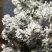 SNOWY QUEEN 2D + 3D + havas extradús műfenyő, 180 cm (KFB 378)