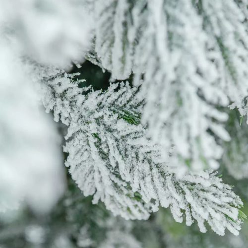 SNOW KING Premium KFB 838 extradús havas design műfenyő kevert 2D és 3D tűlevelekkel, 180 cm