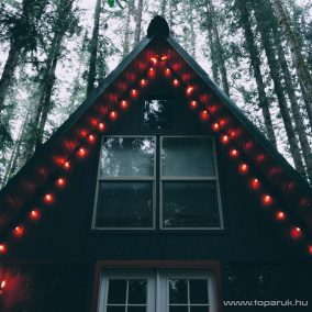   Garden of edeN 11745 Kültéri hálózati bluetooth smart okos fényfüzér + távirányító, 25 db RGB LED-del, 7W, 7,5 m hosszú