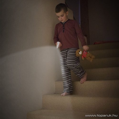 Phenom Essenzo Dekor 20280 LED-es 2 in 1 asztali, éjjeli lámpa, színes világítással