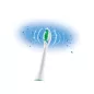   Cien CBZKS 6 A1 Fogkefe tartalék fej (pótfej) Nevadent és Philips Sonicare típusú fogkeféhez, 6 db / csomag