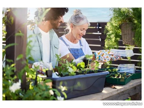 ParkSide N7057 Palántázó készlet / mini melegágy átlátszó fedéllel, 4 x 24 db palánta részére, 36 x 22 x 12 cm