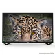 Orion 40SA19FHD 40" (102 cm) Full HD Smart-Android LED televízió beépített WIFI-vel