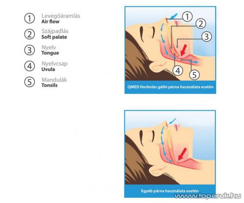 Qmed Horkolásgátló memóriahabos párna, 57 x 36 cm