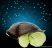 Csillagképek hangulatvilágítás, világító plüss teknős (sötétzöld)