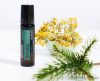 doTERRA Balance esszenciális olaj keverék Touch (Roll on) kivitelben, 10 ml