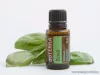 doTERRA Basil - Bazsalikom esszenciális olaj, illóolaj, 15 ml