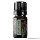 doTERRA Black Spruce - Kanadai fekete luc esszenciális olaj, illóolaj, 5 ml