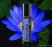 doTERRA Blue Lotus - Kék lótusz esszenciális olaj Touch (Roll on) kivitelben, 10 ml