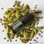   doTERRA Cardamom - Kardamom esszenciális olaj, illóolaj, 5 ml