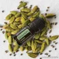   doTERRA Cardamom - Kardamom esszenciális olaj, illóolaj, 5 ml