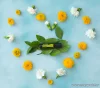 doTERRA Cheer esszenciális olaj keverék Touch (Roll on) kivitelben, 10 ml