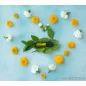   doTERRA Cheer esszenciális olaj keverék Touch (Roll on) kivitelben, 10 ml