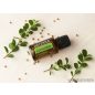   doTERRA Coriander - Koriandermag esszenciális olaj, illóolaj, 15 ml
