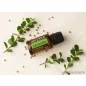   doTERRA Coriander - Koriandermag esszenciális olaj, illóolaj, 15 ml