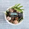 doTERRA Cypress - Ciprus esszenciális olaj, illóolaj, 15 ml