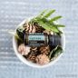   doTERRA Cypress - Ciprus esszenciális olaj, illóolaj, 15 ml