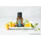   doTERRA DDR Prime esszenciális olaj keverék, megújulás illóolaj, 15 ml