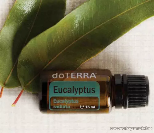 doTERRA Eucalyptus - Eukaliptusz esszenciális olaj, illóolaj, 15 ml