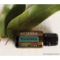  doTERRA Eucalyptus - Eukaliptusz esszenciális olaj, illóolaj, 15 ml