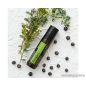   doTERRA Forgive esszenciális olaj keverék Touch (Roll on) kivitelben, 10 ml