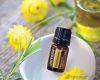doTERRA Helichrysum - Olasz szalmagyopár esszenciális olaj, illóolaj, 5 ml