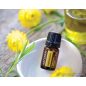   doTERRA Helichrysum - Olasz szalmagyopár esszenciális olaj, illóolaj, 5 ml