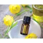  doTERRA Helichrysum - Olasz szalmagyopár esszenciális olaj, illóolaj, 5 ml