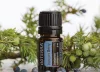 doTERRA Juniper berry - Borókabogyó esszenciális olaj, illóolaj, 5 ml