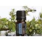   doTERRA Juniper berry - Borókabogyó esszenciális olaj, illóolaj, 5 ml
