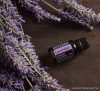 doTERRA Lavender - Levendula esszenciális olaj, illóolaj, 15 ml