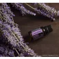   doTERRA Lavender - Levendula esszenciális olaj, illóolaj, 15 ml