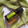 doTERRA Lemon Eucalyptus - Vietnámi eukaliptusz esszenciális olaj, illóolaj, 15 ml