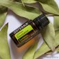   doTERRA Lemon Eucalyptus - Vietnámi eukaliptusz esszenciális olaj, illóolaj, 15 ml