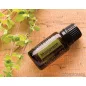   doTERRA Marjoram - Majoránna esszenciális olaj, illóolaj, 15 ml