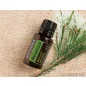   doTERRA Tea Tree (Melaleuca) - Teafa esszenciális olaj, illóolaj, 15 ml