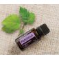   doTERRA Patchouli - Pacsuli esszenciális olaj, illóolaj, 15 ml