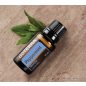   doTERRA Peppermint - Borsmenta esszenciális olaj, illóolaj, 15 ml